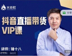 锤十八-抖音直播带货VIP课,专注直播带货有效盈利模式-布谷屋免费网赚资源网