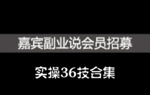 嘉宾副业说实操36技合集,价值1380元-布谷屋免费网赚资源网