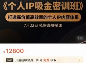 个人IP吸金密训班,打造高价值高效率的个人IP内容体系(价值12800元)-布谷屋免费网赚资源网