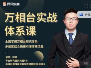 阿呆-万相台实战体系课，帮您全面掌握万相台知识体系-布谷屋免费网赚资源网