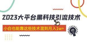 价值4899的2023大平台黑科技引流技术 29节课-布谷屋免费网赚资源网