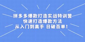 拼多多爆款打造实战特训营:快速打造爆款方法,从入门到高手 日破百单-布谷屋免费网赚资源网