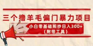 外面卖998的三个撸羊毛项目，小白零基础照抄（附带工具）-布谷屋免费网赚资源网