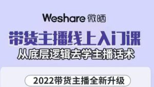 大木子·带货主播线上入门课，从底层逻辑去学主播话术-布谷屋免费网赚资源网