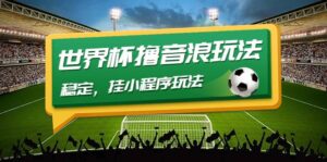 最新口子-世界杯撸音浪教程，稳定，小程序玩法 价值998-布谷屋免费网赚资源网