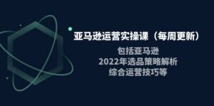 亚马逊运营实操课(每周更新)包括亚马逊2022选品策略解析,综合运营技巧等-布谷屋免费网赚资源网