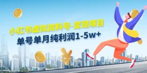 小红书虚拟资料号-变现项目:实操玩法分享-布谷屋免费网赚资源网