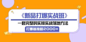 《新品打爆实战班》一套完整的实操实战落地方法,打爆链接超2000 (38节课)-布谷屋免费网赚资源网