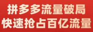 阿杰·拼多多流量破局:如何打黑标,爆款的思路,拼多多流量框架,快速抢占百亿流量-布谷屋免费网赚资源网