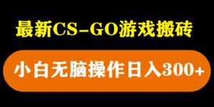 最新csgo游戏搬砖游戏,无需挂机小白无脑也能日入300-布谷屋免费网赚资源网