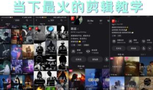 短时视频朦胧诗文案号制作教程，实操7天涨粉20W 小白20分钟看完直接上手-布谷屋免费网赚资源网