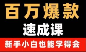 百万爆款速成课：用数据思维做爆款，小白也能从0-1打造百万播放视频-布谷屋免费网赚资源网