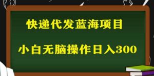 2023最新蓝海快递代发项目，小白零成本照抄-布谷屋免费网赚资源网