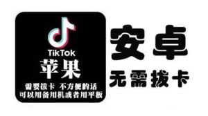 tiktok海外版短视频操作教程(苹果/安卓)，帮助国内也能刷海外版抖音-布谷屋免费网赚资源网