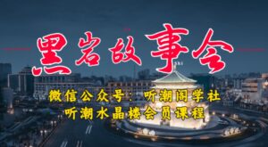 1万播放充值500!三级分销小说推文模式!听潮阁学社黑岩故事会实操全流程-布谷屋免费网赚资源网