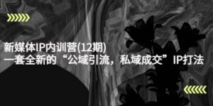 新媒体IP内训营(12期),一套全新的“公域引流,私域成交”IP打法,直接带走-布谷屋免费网赚资源网