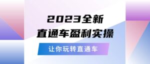 2023全新直通车·盈利实操：从底层，策略到搭建，让你玩转直通车-布谷屋免费网赚资源网
