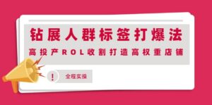 钻展人群标签打爆法,高投产ROL收割打造高权重店铺(全程实操)-布谷屋免费网赚资源网