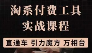 淘系付费工具实战课程【直通车、引力魔方】战略优化，实操演练（价值1299）-布谷屋免费网赚资源网
