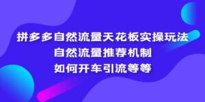 拼多多自然流量天花板实操玩法：自然流量推荐机制，如何开车引流等等-布谷屋免费网赚资源网