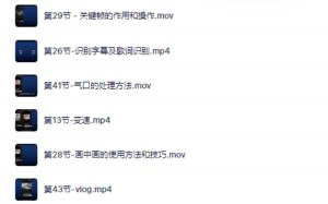 魏不惑:小白一学就会的短视频剪辑课,解决你日常剪辑重遇到的常见问题-布谷屋免费网赚资源网