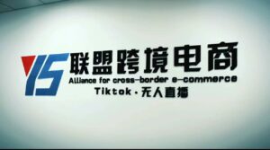 Tiktok无人直播,不出镜不剪辑不拍摄不发货无售后的跨境短视频玩法-布谷屋免费网赚资源网