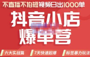推易电商·2022年抖音小店爆单营,不直播、不拍短视频、日出1000单,暴力玩法-布谷屋免费网赚资源网