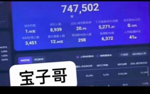 宝子哥无人直播，半无人直播，Obs 伴侣玩法，快速打标签 养鱼-布谷屋免费网赚资源网