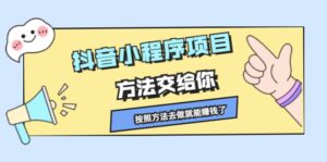 抖音小程序项目,方法交给你,按照方法去做就行了-布谷屋免费网赚资源网