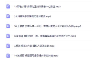 千万粉丝网红教你打造超级IP,人设打造经营粉丝数量快速飙升-布谷屋免费网赚资源网