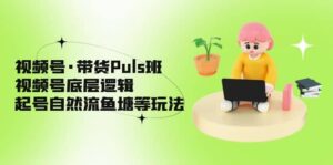 视频号·带货Puls班，视频号底层逻辑，起号自然流鱼塘等玩法-布谷屋免费网赚资源网