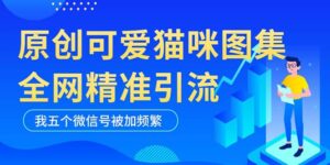黑科技纯原创可爱猫咪图片，全网精准引流，实操5个VX号被加频繁-布谷屋免费网赚资源网