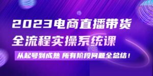 2023电商直播带货全流程实操系统课：从起号到成熟所有阶段问题全总结-布谷屋免费网赚资源网