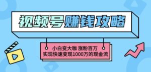 玩转微信视频号赚钱:小白变大咖涨粉百万实现快速变现1000万的现金流-布谷屋免费网赚资源网