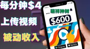 只需要上传视频然后每分钟赚4美元项目：详细操作步骤，新手也可操作-布谷屋免费网赚资源网
