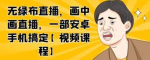 无绿布直播，画中画直播，一部安卓手机搞定【视频课程】-布谷屋免费网赚资源网