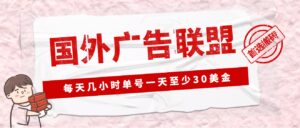 外面收费1980最新国外LEAD广告联盟搬砖项目，单号一天至少30美元(详细教程)-布谷屋免费网赚资源网