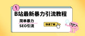 b站最新引流方法,暴力SEO引流玩法,一天可以量产几百个视频(附带软件)-布谷屋免费网赚资源网