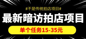 【信息差项目】最新暗访拍店项目,单个任务15-35元(不是传统拍店项目)-布谷屋免费网赚资源网