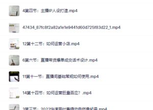 真正的直播货带‬实操课，0粉丝0作起品‬号全流程-布谷屋免费网赚资源网