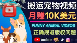 搬运TIKTOK视频到YouTube,并进行二次创作,月赚1万美元以上-布谷屋免费网赚资源网