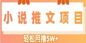 小说推文副业项目，另类进阶玩法-布谷屋免费网赚资源网