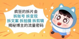 疯狂的拆片会:拆账号 拆变现 拆文案 拆拍摄 拆剪辑 揭秘博主的流量密码-布谷屋免费网赚资源网