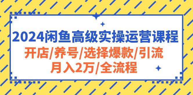 2024闲鱼高级实操运营课程：开店/养号/选择爆款/引流/月入2万/全流程-布谷屋免费网赚资源网