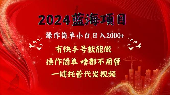 2024蓝海项目，网盘拉新，操作简单小白日入2000+，一键托管代发视频，…-布谷屋免费网赚资源网