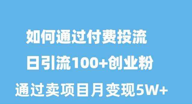 如何通过付费投流日引流100+创业粉月变现5W+-布谷屋免费网赚资源网