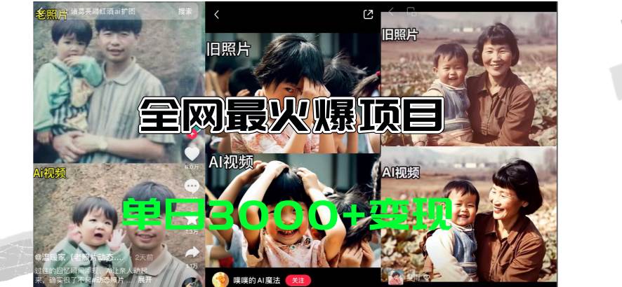 图片[1]-全网爆火的AI让老照片动起来教程，蹭热点日赚3000+，内含免费工具一键…-布谷屋免费网赚资源网