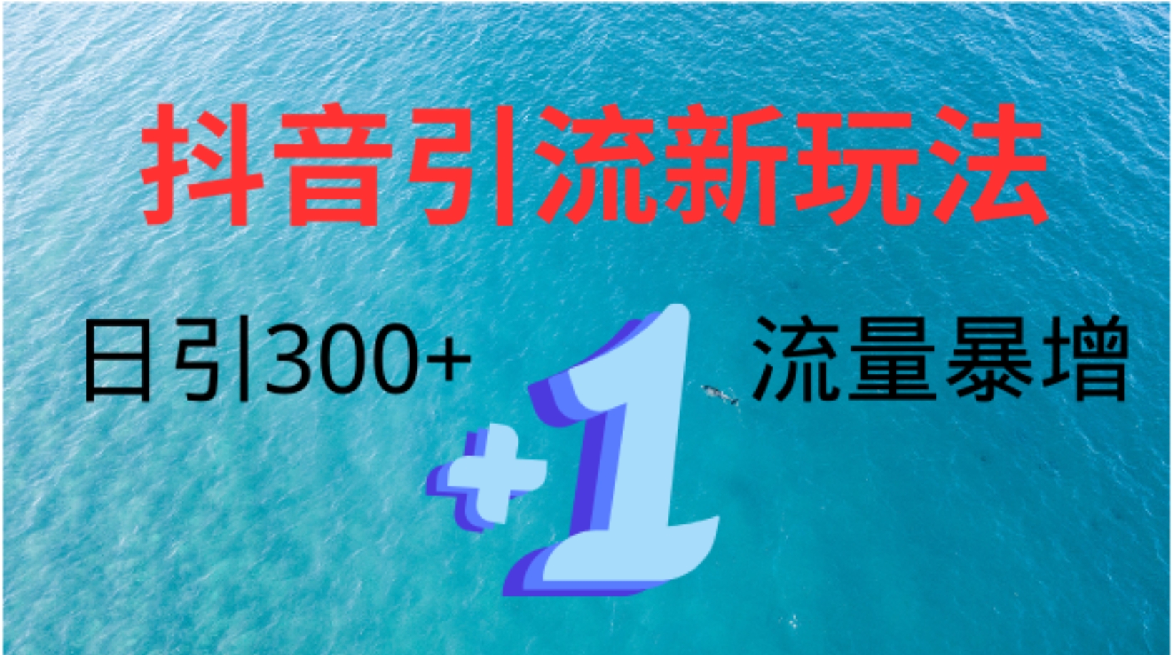 创业粉高效引流,抖音工具号玩法4.0,日引300+-布谷屋免费网赚资源网