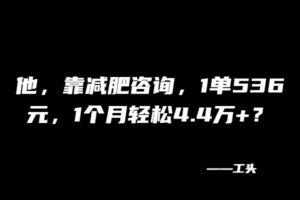 他,靠减肥咨询,1单536元,1个月轻松4.4万+?-布谷屋免费网赚资源网