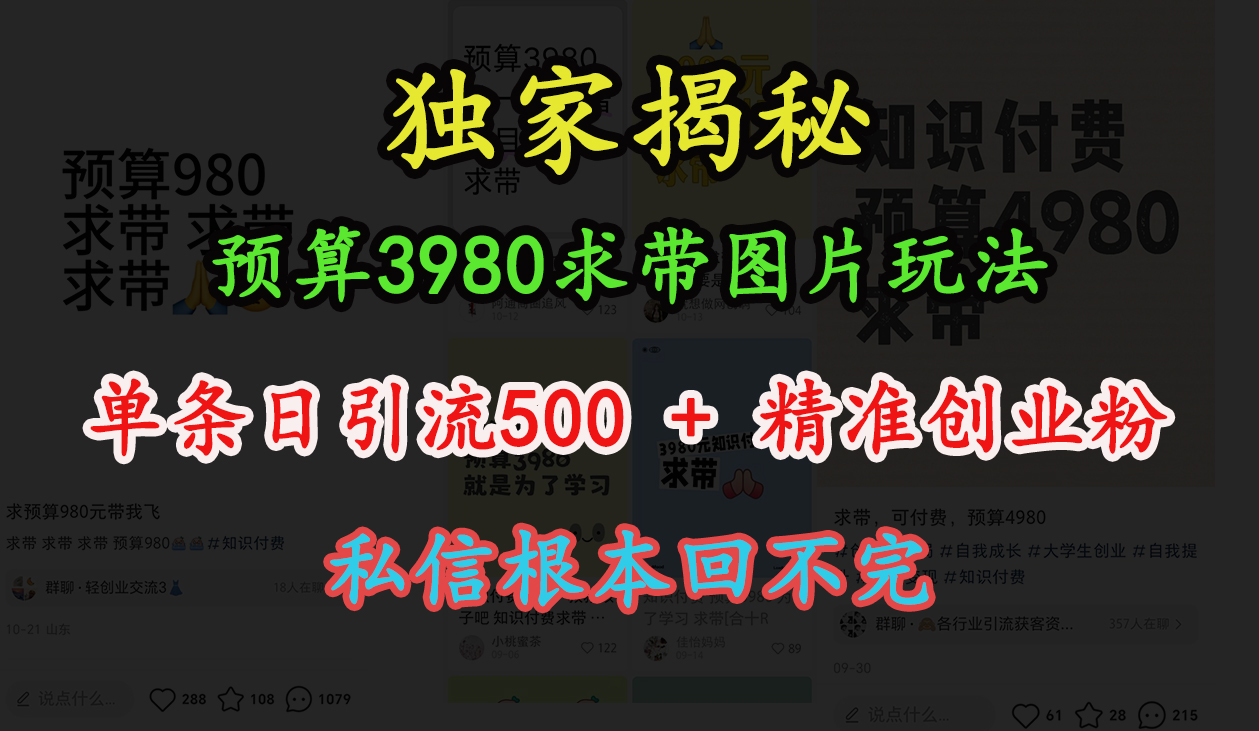 “小红书”预算3980求带 图片玩法,单条日引流500+精准创业粉,私信根本回不完-布谷屋免费网赚资源网